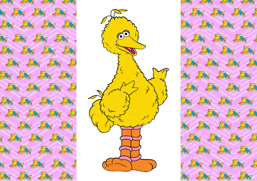Sesame Street Chocolate Bar Wrapper- Plain (No Text)