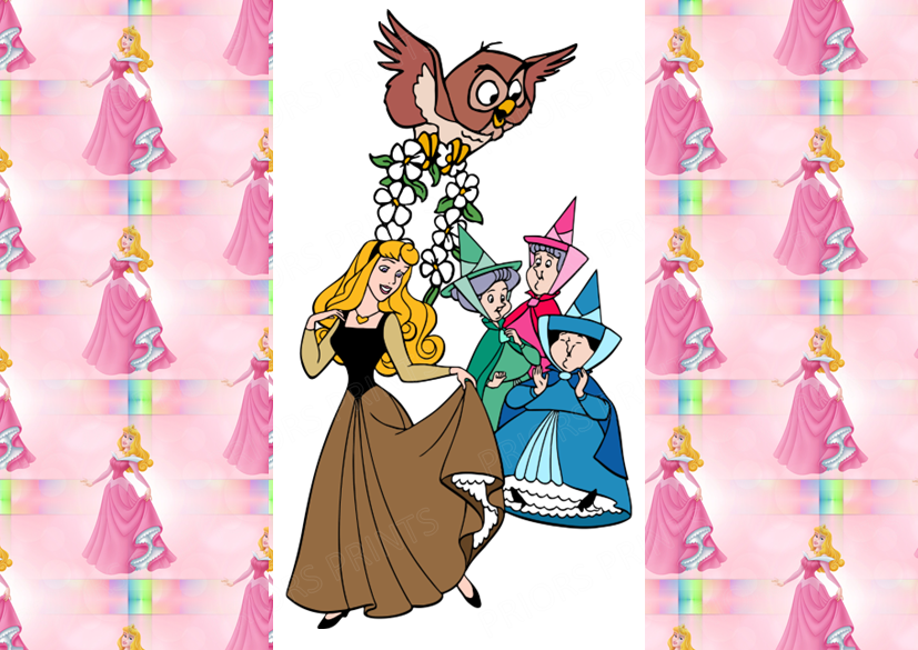 Sleeping Beauty Chocolate Bar Wrapper- Plain (No Text)