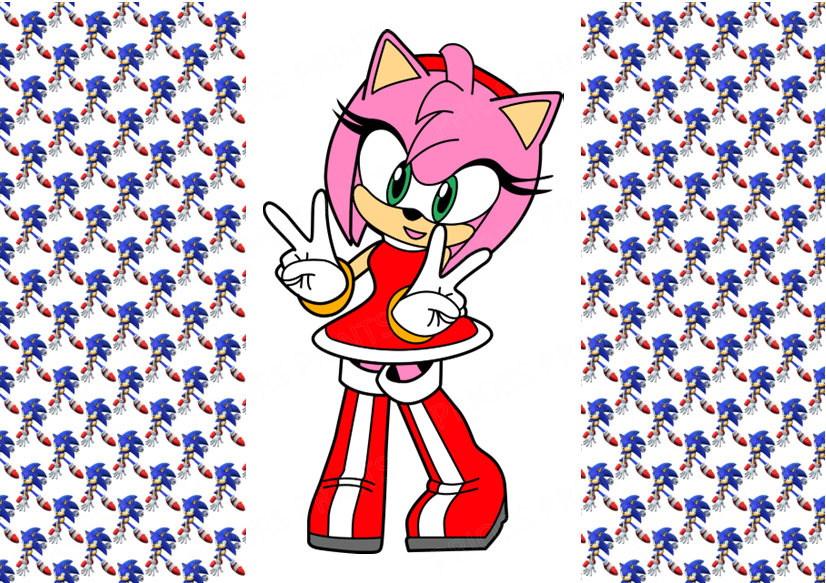 Sonic The Hedgehog Chocolate Bar Wrapper- Plain (No Text)