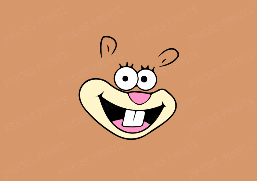 Sponge Bob Faces Chocolate Bar Wrapper- Plain (No Text)