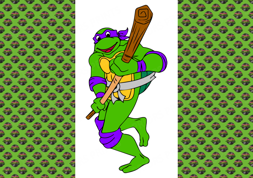 Turtles Chocolate Bar Wrapper- Plain (No Text)