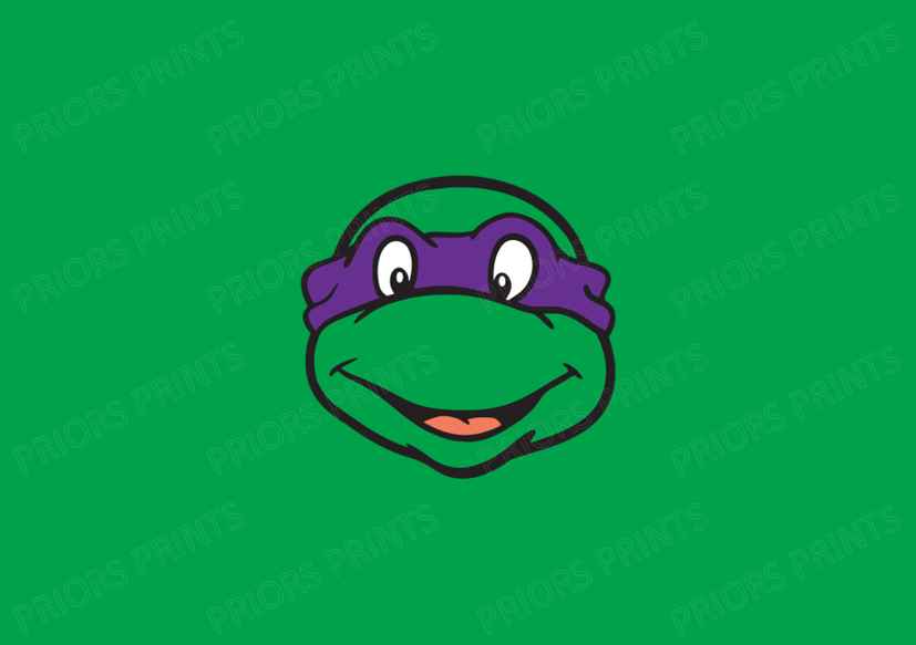 Turtle Faces Chocolate Bar Wrapper- Plain (No Text)