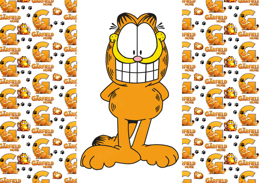 Garfield Chocolate Bar Wrapper- Plain (No Text)