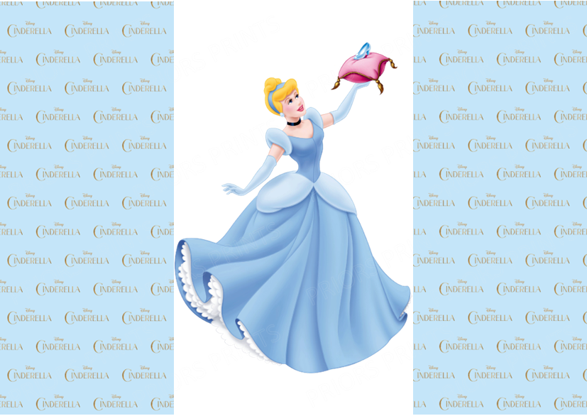 Cinderella Chocolate Bar Wrapper- Plain (No Text)