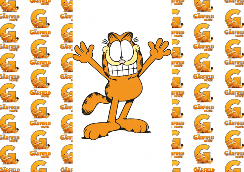 Garfield Chocolate Bar Wrapper- Plain (No Text)
