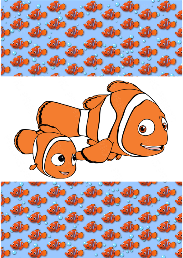 Nemo Chocolate Bar Wrapper- Plain (No Text)