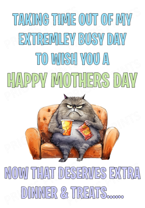 Funny Cat Mothers Day Card