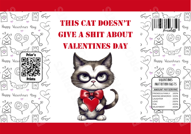 Offensive Valentines Treat Packets 5 (Medium Sized)