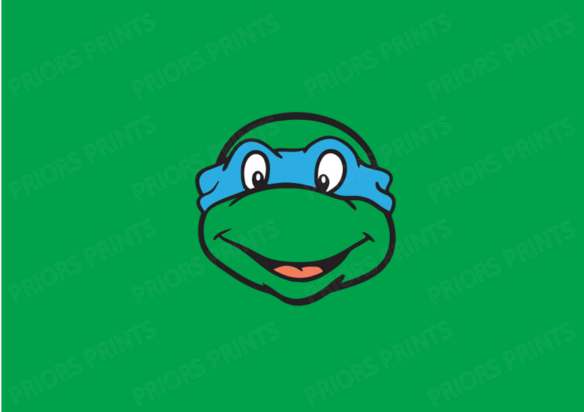 Turtle Faces Chocolate Bar Wrapper- Plain (No Text)